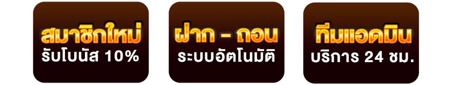 สิทธิประโยชน์สมาชิก 88PNPPLUS โทนส้มดำ